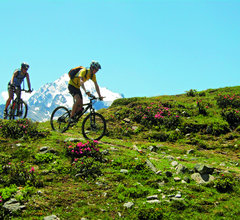 Bicicletta e mountainbike