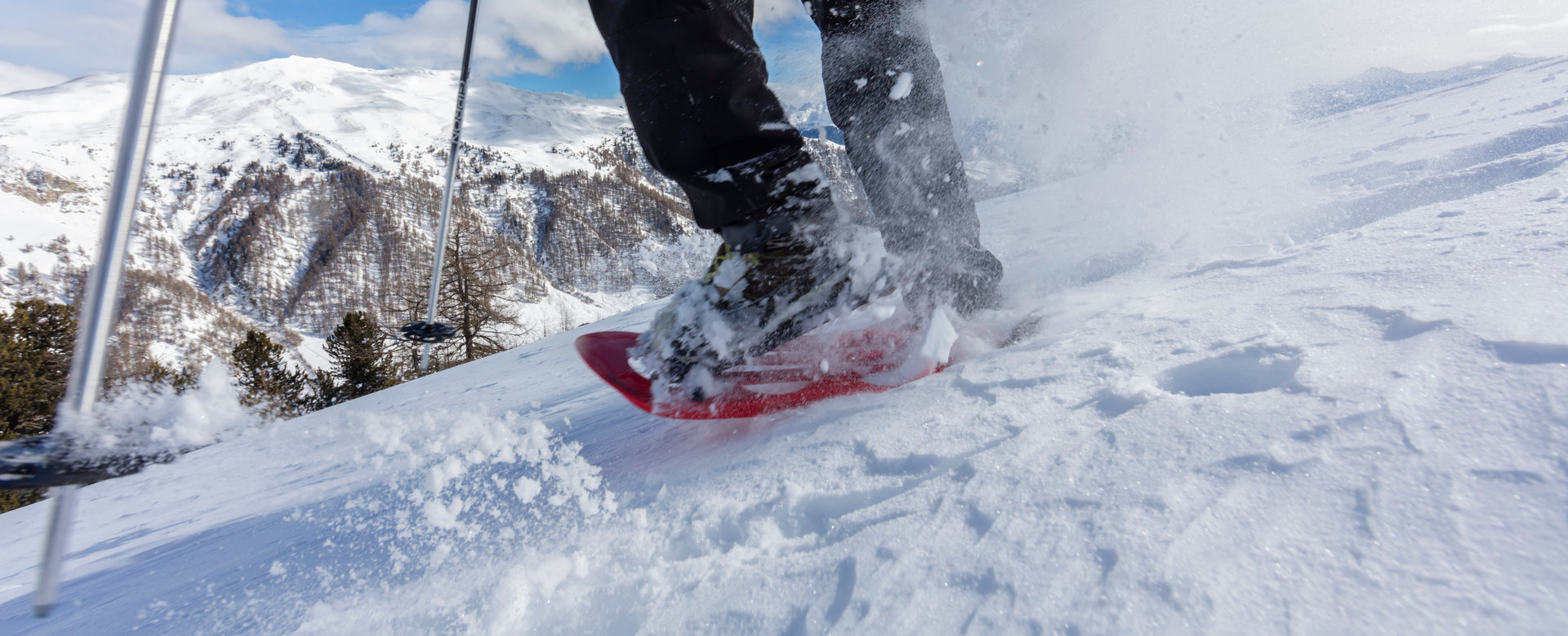 Vinschgau Marketing – F. Blickle anzuführen.