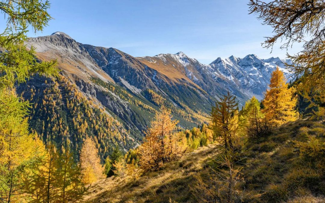 Schweizer Nationalpark