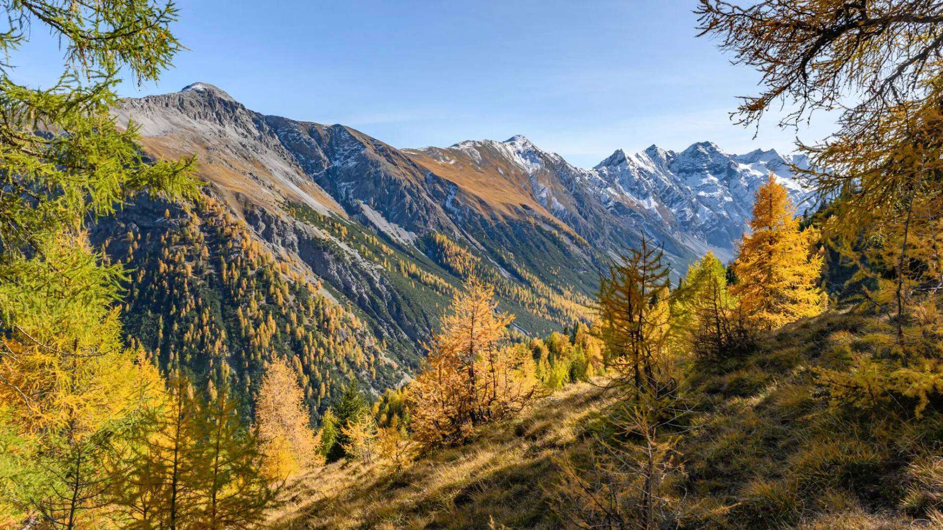 Il Parco Nazionale Svizzero
